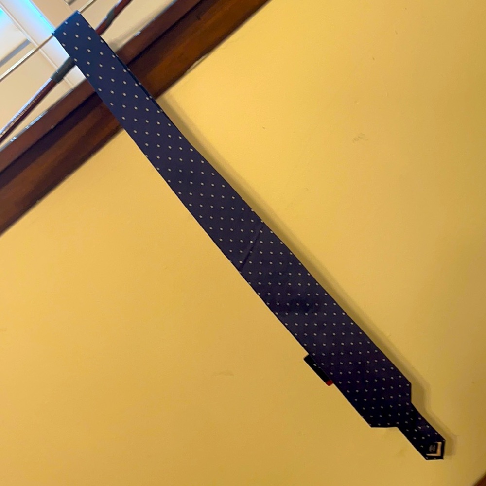 Charles Tyrwhitt Tie